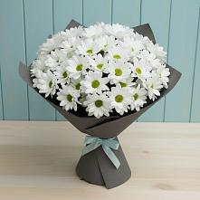 Букет цветов из:  Хризантемы #REPLACE_PRED# Большевике Ставропольского края