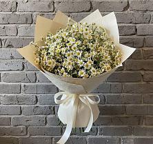 Букет цветов из:  Ромашки в Большевике Ставропольского края