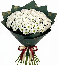 Букет цветов из:  Хризантемы #REPLACE_PRED# Большевике Ставропольского края