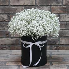 Цветочная композиция из Гипсофила в шляпной коробке #REPLACE_PRED# Большевике Ставропольского края