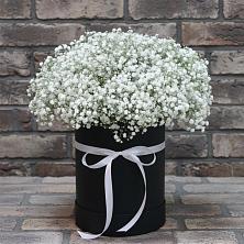 Цветочная композиция из Гипсофила в шляпной коробке в Большевике Ставропольского края