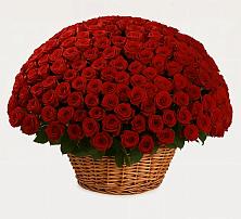 Премиум букет из: Розы в Большевике Ставропольского края