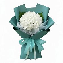 Букет цветов из:  Гортензия #REPLACE_PRED# Большевике Ставропольского края